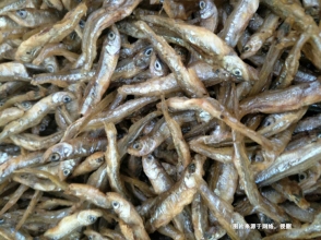 越南康氏側帶小公魚進口報關流程到廣州南沙案例